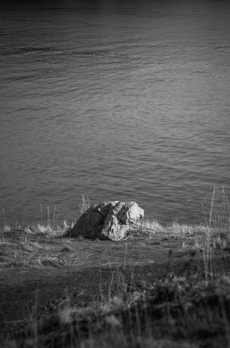 An animation of water moving slowly behind a grassy shore and a large boulder. Deception Pass, Washington state.