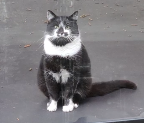Meet Ms. Mouser